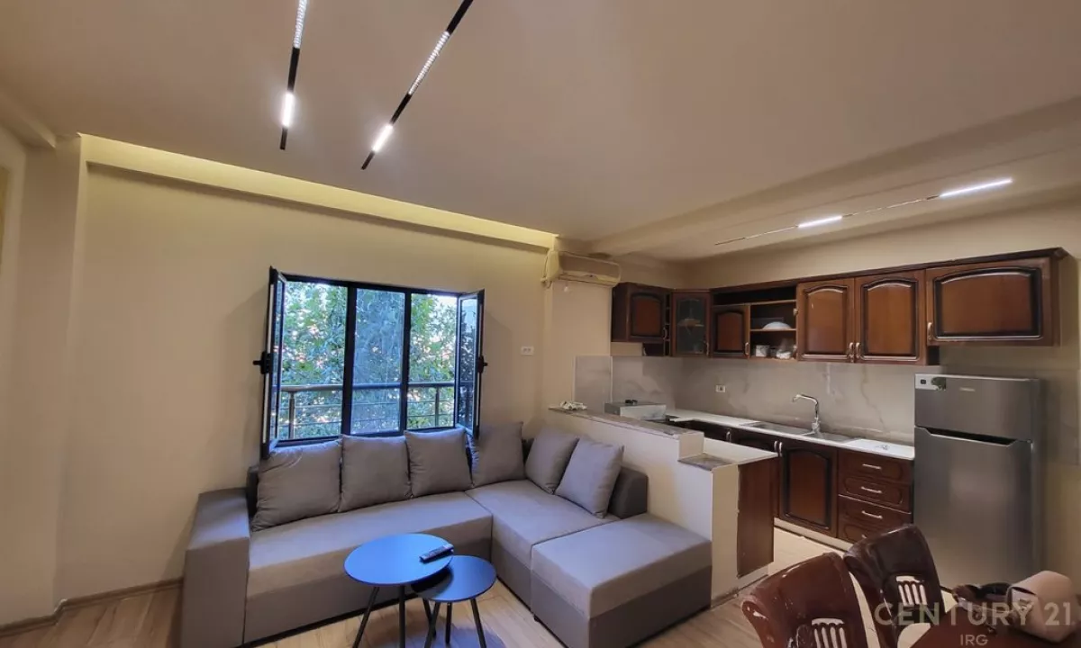 Shtepi ne shitje Apartament ne Tirane, 1+1, Mobilimi Pjeserisht e mobiluar, Pagesa 100,000  Euro.