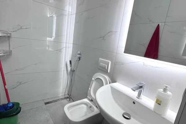 Attic (top floor of the roof) for rent in Tirana 1+1, Furnished