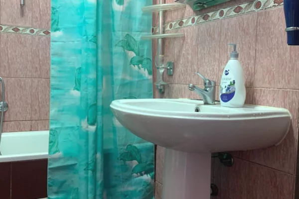 Shtepi me qera Apartament ne Tirane, 1+1, Mobilimi E mobiluar, Pagesa 350  Euro.