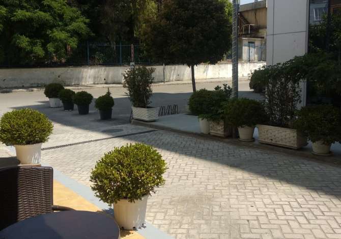 Ambient biznesi me qera 2+1 ne Tirane - 1,150 Euro