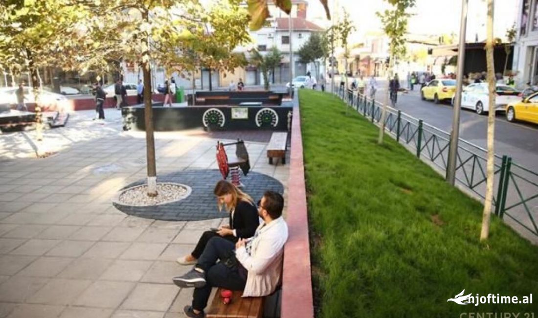 Ambjent Komercial te Selvia  