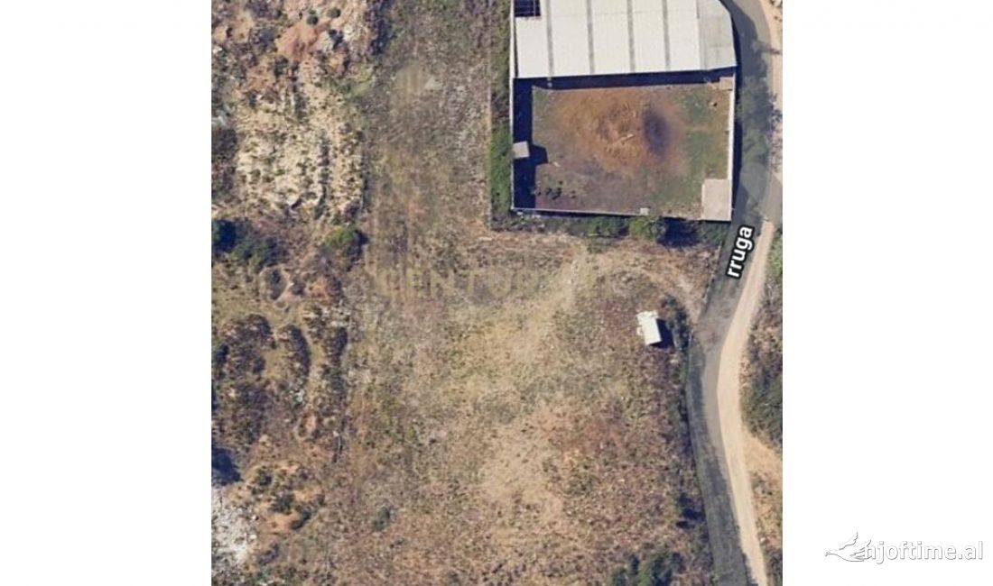 TOKE NE SHITJE PRANE TOP CHANNEL 