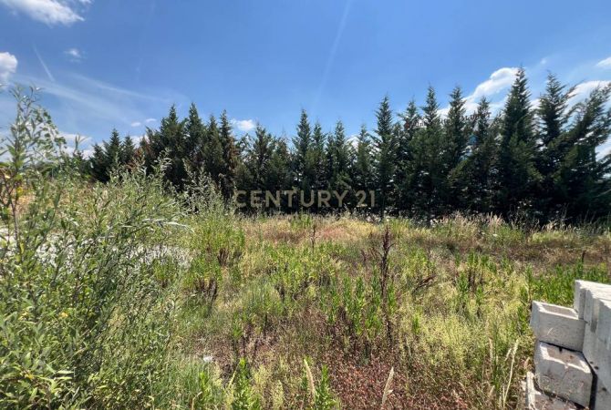 Toke 2000 m2 per qira prane TEG, Tirane6,000 Euro /Muaj