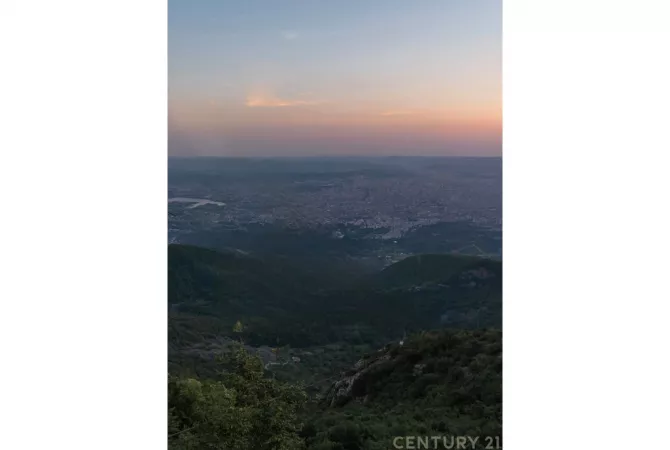 Shitet Resort me pishina ne Dajt! 