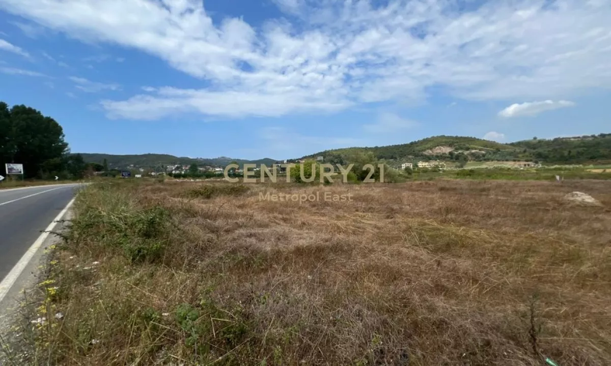 Shitet Toke ne Gjirin e Lalzit 