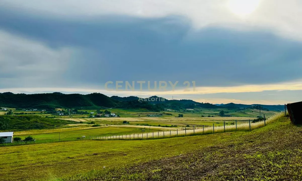 SHITET TOKE ARE  TE “TEDA TIRANA”,YZBERISHT