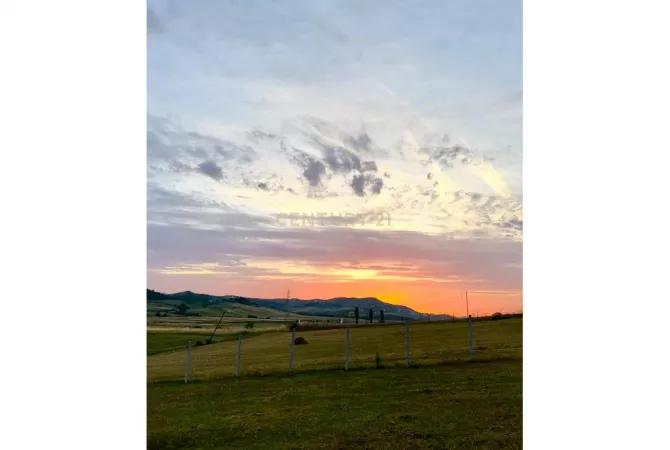 SHITET TOKE ARE  TE “TEDA TIRANA”,YZBERISHT