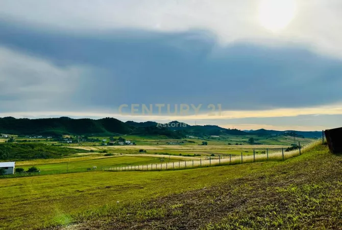 SHITET TOKË ARË  TE “TEDA TIRANA”,YZBERISHT