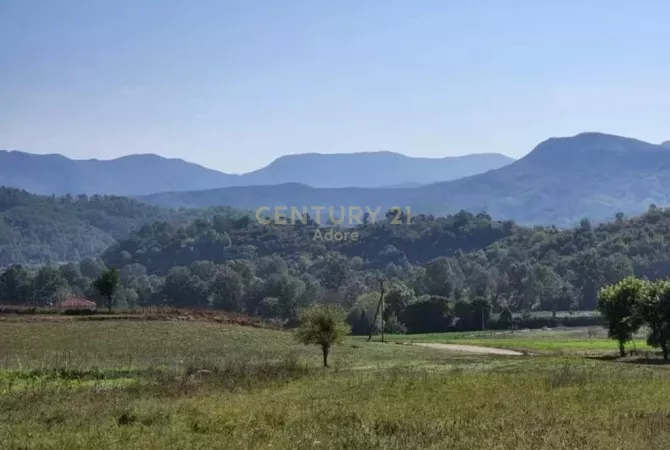 Truall ose Toke ne Tirane - 210,000 Euro