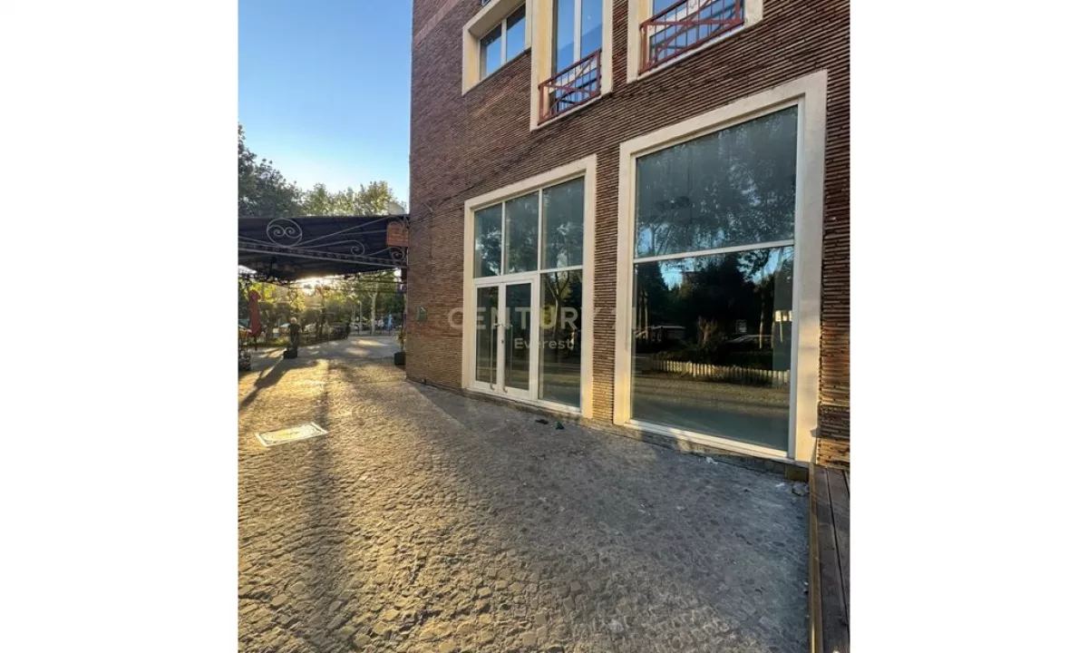 PRANE DELIORGJIT, SHESIM AMBIENT KOMERCIAL 