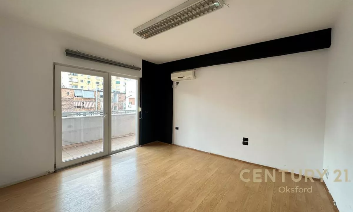 Japim me qira ambient per zyra,tek “Sheshi Willson”! 