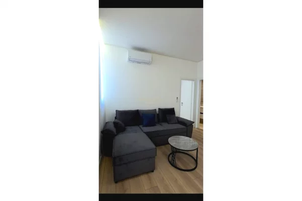 Shtepi ne shitje Apartament ne Tirane, 1+1, Mobilimi E mobiluar, Pagesa 122,000  Euro.