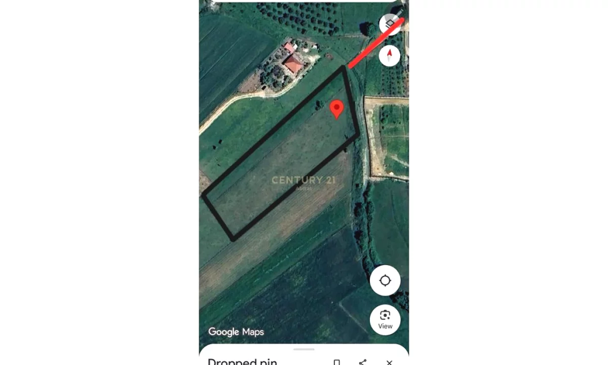 Shitet Toke ne Vishaj