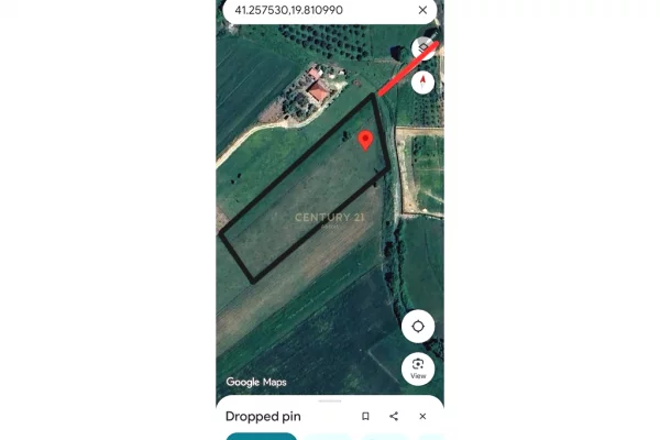 Shitet Toke ne Vishaj