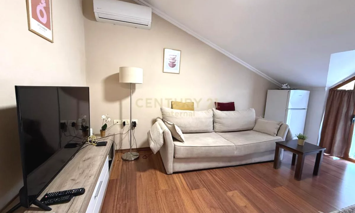 Shtepi me qera Apartament ne Tirane, 1+1, Mobilimi E mobiluar, Pagesa 500  Euro.