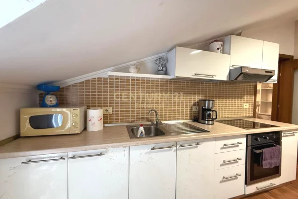 Shtepi me qera Apartament ne Tirane, 1+1, Mobilimi E mobiluar, Pagesa 500  Euro.