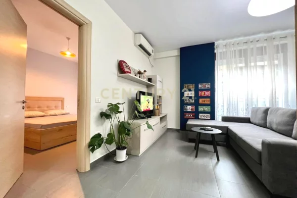 Shtepi me qera Apartament ne Tirane, 1+1, Mobilimi E mobiluar, Pagesa 650  Euro.