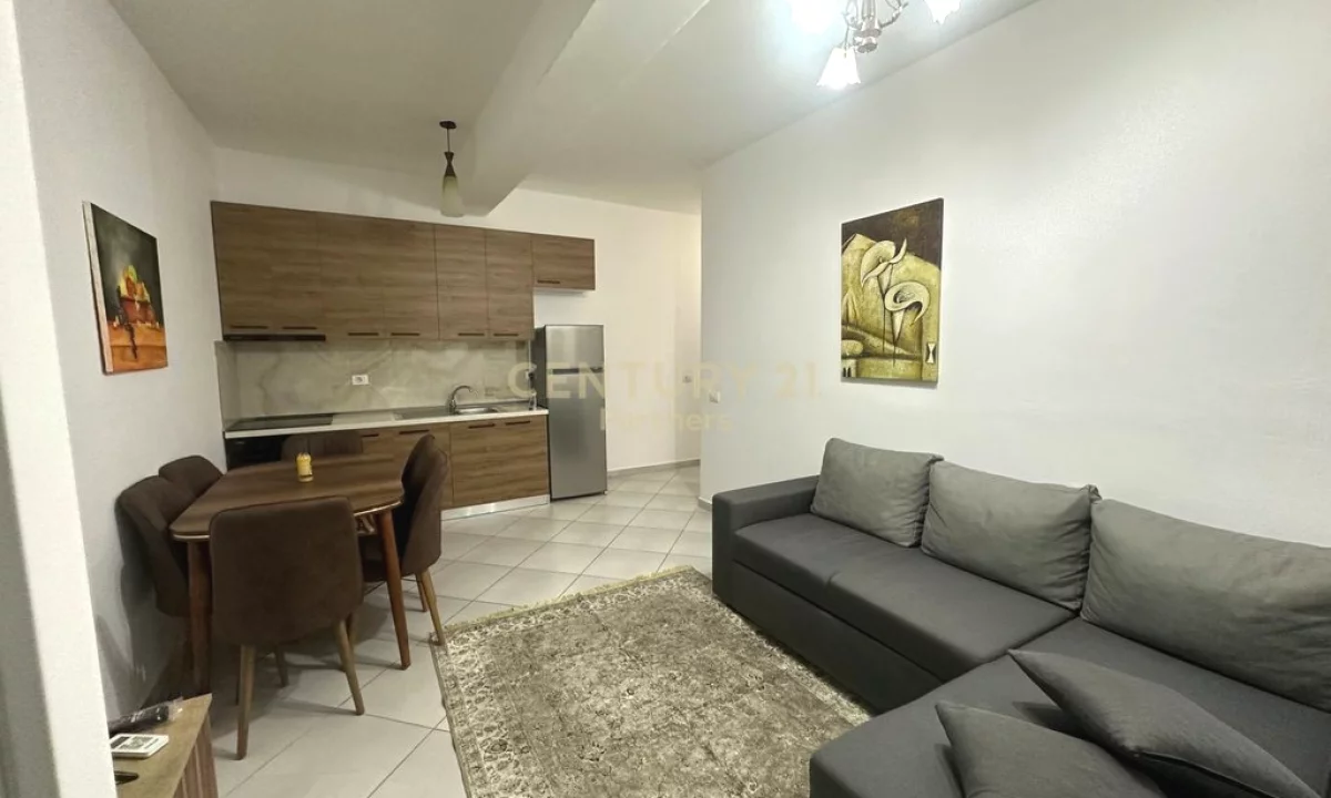 Shtepi me qera Apartament ne Tirane, 1+1, Mobilimi E mobiluar, Pagesa 500  Euro.