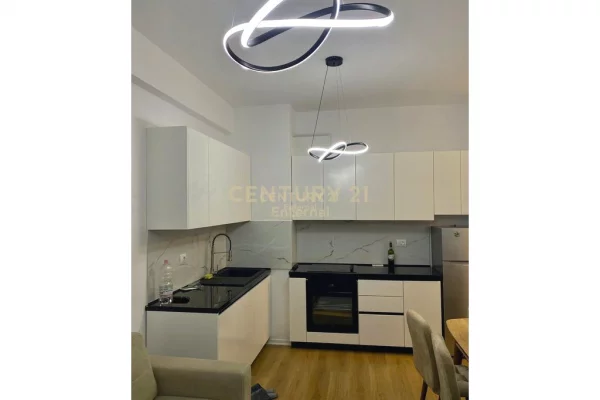 Shtepi me qera Apartament ne Tirane, 1+1, Mobilimi E mobiluar, Pagesa 400  Euro.