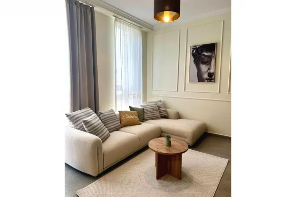 Shtepi me qera Apartament ne Tirane, 1+1, Mobilimi E mobiluar, Pagesa 650  Euro.