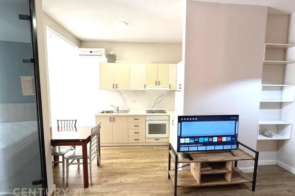 Shtepi me qera Apartament ne Tirane, 1+1, Mobilimi E mobiluar, Pagesa 500  Euro.