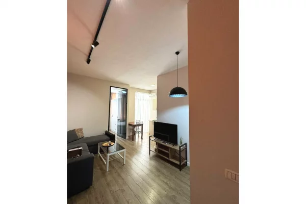 Shtepi me qera Apartament ne Tirane, 1+1, Mobilimi E mobiluar, Pagesa 500  Euro.