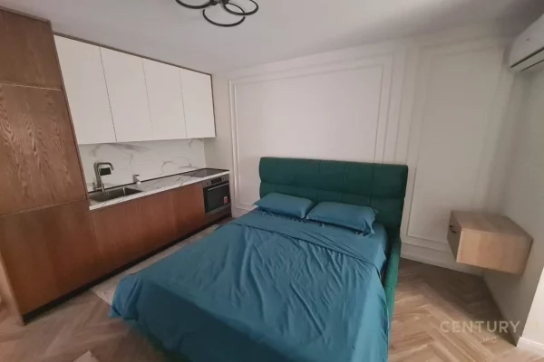 Shtepi me qera Apartament ne Tirane, Garsoniere, Mobilimi E mobiluar, Pagesa 400  Euro.