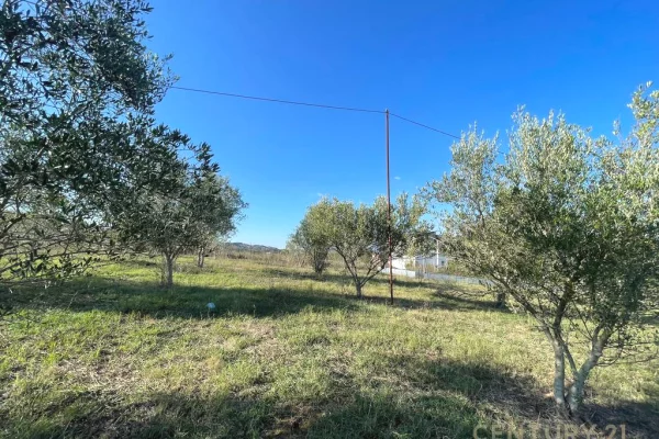 Toke dhe Ndertese per shitje ne Baldushk