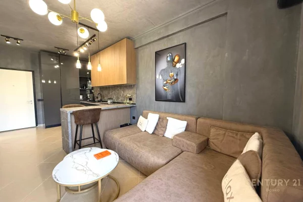 House for Rent 1+1 in Tirana - 500 Euro