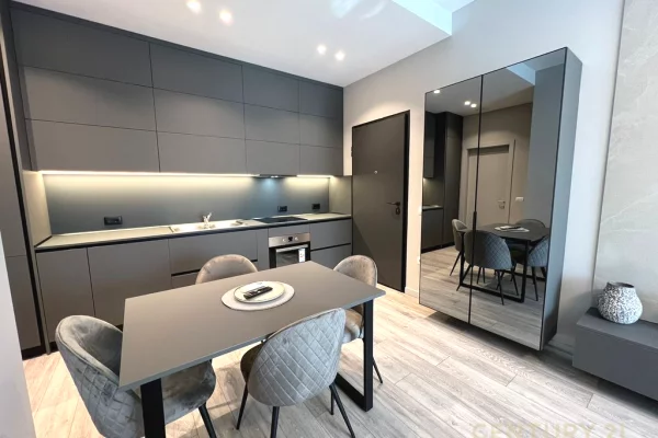 Apartment for rent in Tirana 1+1, Furnished
