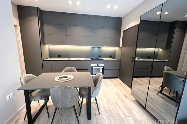 Apartment for rent in Tirana 1+1, Furnished