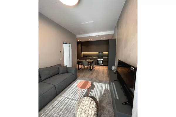 House for Rent 1+1 in Tirana - 850 Euro