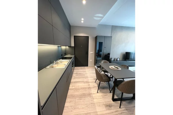 Apartment for rent in Tirana 1+1, Furnished