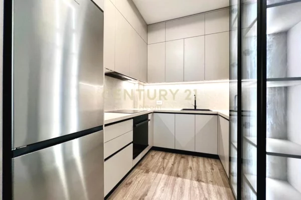 Apartment for rent in Tirana 1+1, Furnished