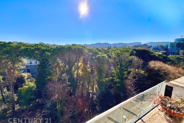 Apartment for rent in Tirana 2+1, Furnished