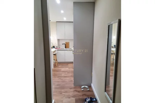 Shtepi me qera Apartament ne Tirane, 1+1, Mobilimi E mobiluar, Pagesa 500  Euro.