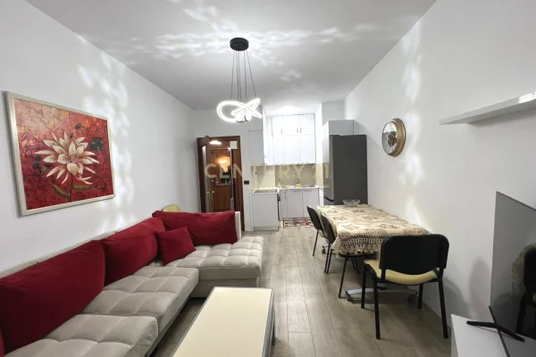 Apartment for rent in Tirana 1+1, Furnished