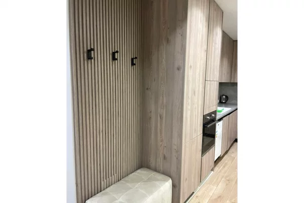 Apartment for rent in Tirana 1+1, Furnished