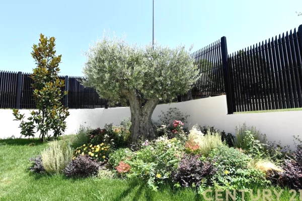 Luxury villas for rent in Tirana 6+1, Emty