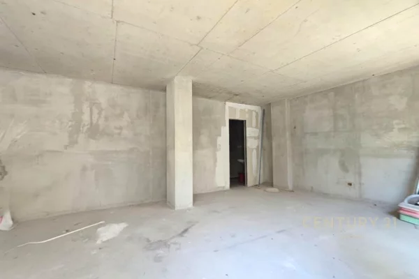 Ambient biznesi me qera 3+1 ne Tirane - 2,500 Euro