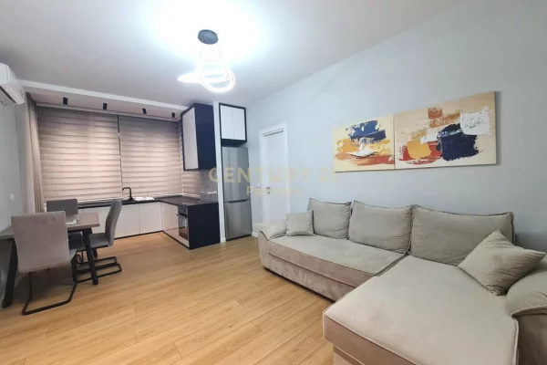 Shtepi me qera Apartament ne Tirane, 1+1, Mobilimi E mobiluar, Pagesa 550  Euro.
