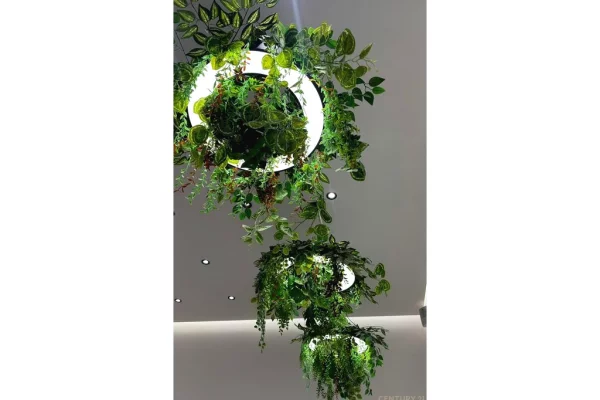 JEPET ME QIRA AMBIENT PER THONJE NE ASTIR!