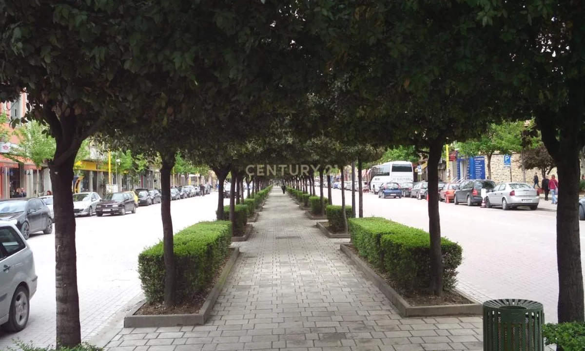 Jepet me qira dyqan buze rruge prane Bulevardit Zogu i I