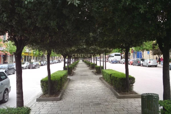 Ambient biznesi me qera 1+1 ne Tirane - 2,000 Euro