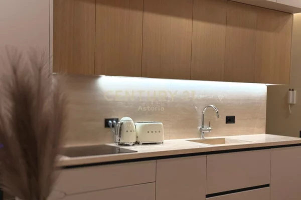 Apartment for rent in Tirana 2+1, Furnished