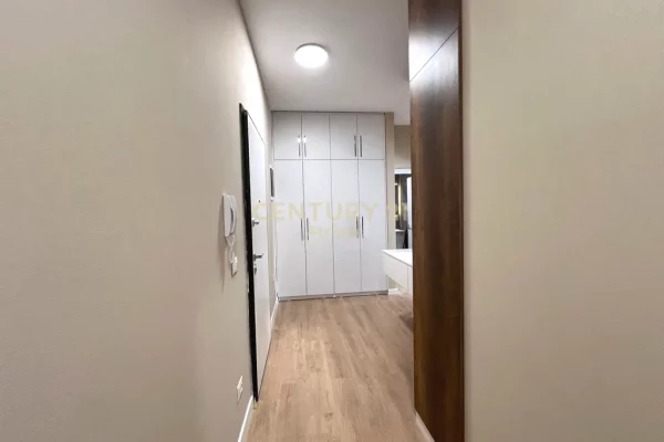 Appartamento in affitto a Tirana 2+1, Arredato