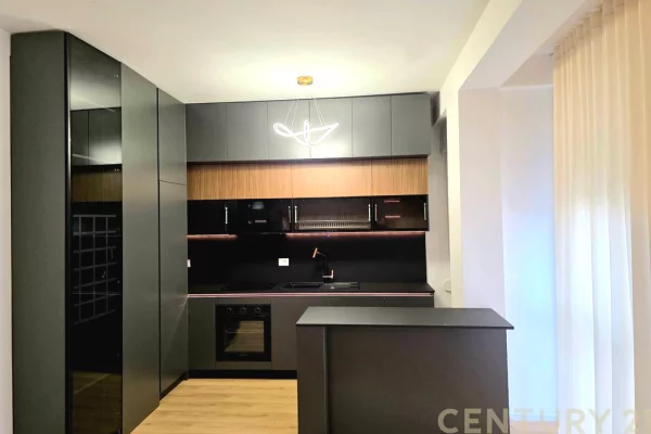 Villa di lusso in affitto a Tirana 4+1, Vuoto