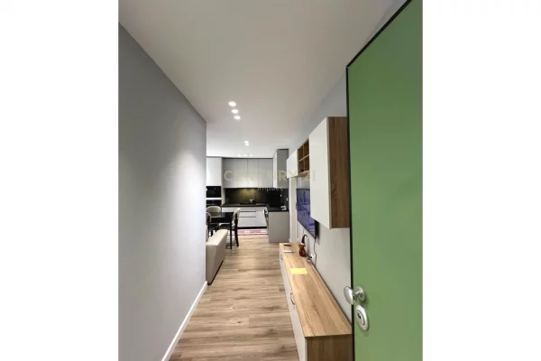 Appartamento in affitto a Tirana 2+1, Arredato