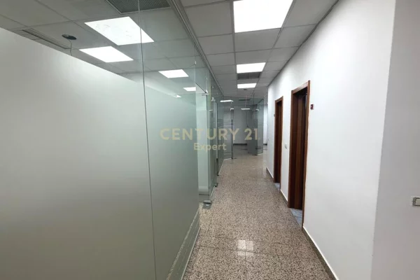 Japim zyra me qira afer Sheshit Wilson!!!