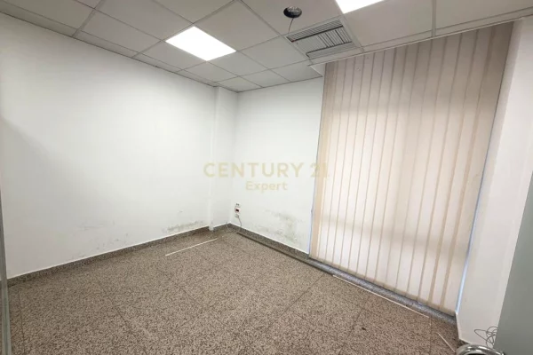 Japim zyra me qira afer Sheshit Wilson!!!